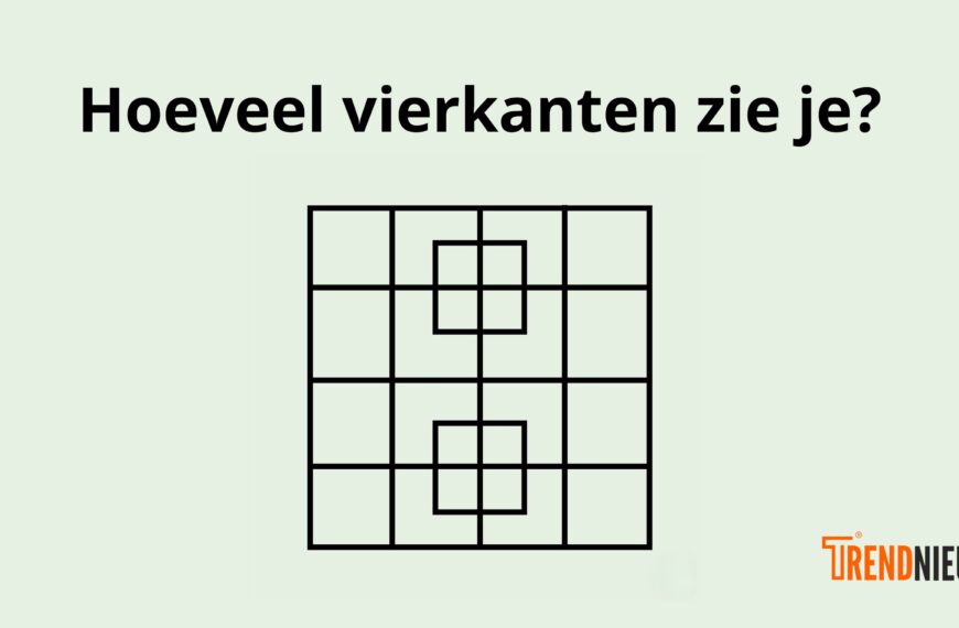 Ook jij hebt het waarschijnlijk fout: Hoeveel vierkanten zie je?