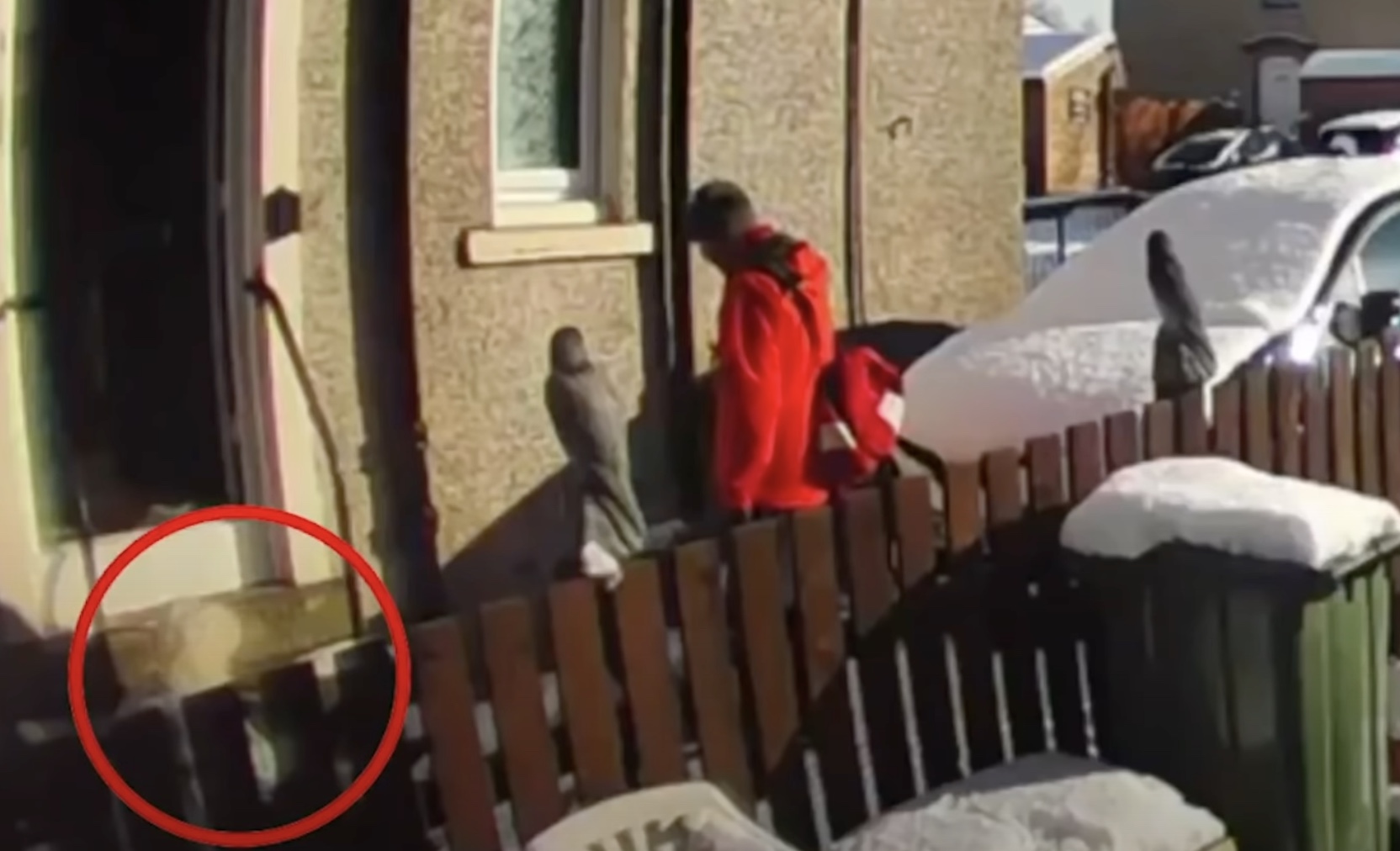 Video: zieke 72-jarige vrouw valt op de grond in de sneeuw en…