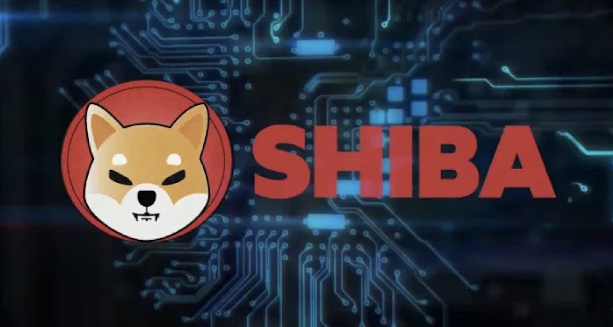 Hoe koop je gemakkelijk Shiba Inu (SHIB)?