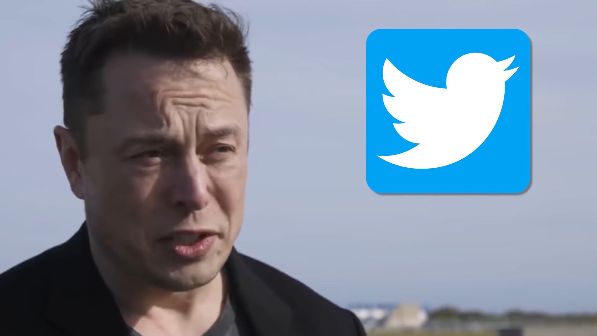 Tesla-eigenaar Elon Musk heeft Vladimir Poetin uitgedaagd voor een gevecht