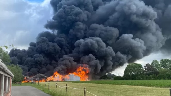 Verwoestende brand uitgebroken in België met meerdere ontploffingen