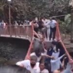 Vreselijke beelden: Nieuwe loopbrug stort in, tientallen mensen vallen naar beneden