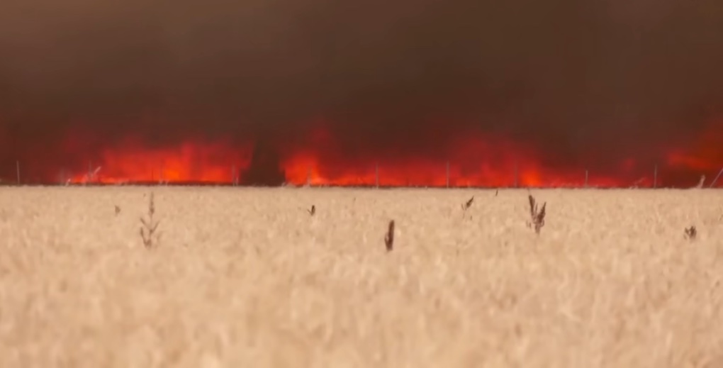Meer dan 1,500 doden door allesvernietigende bosbranden in Europa