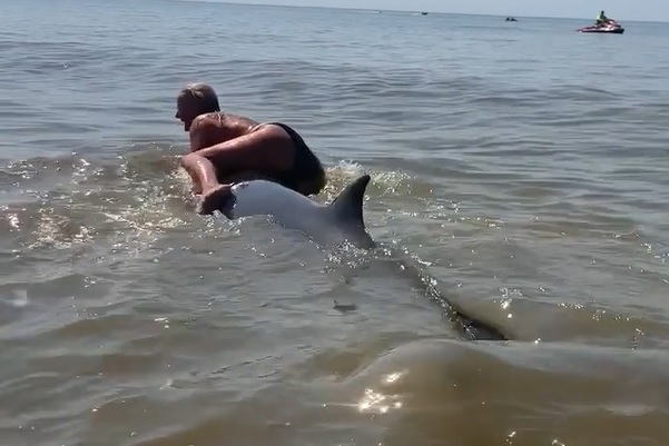 Net binnen: Politie arresteert vrouw die op dolfijn klom