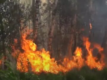 Breaking: Wederom enorme natuurbrand uitgebroken in Limburg