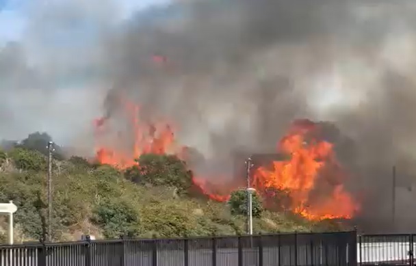 Verwoestende duinbrand uitgebroken in Ouddorp, vakantiepark ontruimd