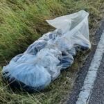Politie doet lugubere vondst langs de weg: dode hond in plastic gewikkeld