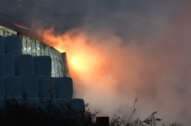 Enorme brand op boerderij in Noord-Brabant: honderden dieren levend verbrand
