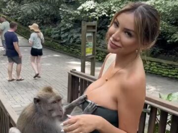 Heerlijke beelden: Brutale aap wil borsten zien en trekt topje van toeriste uit