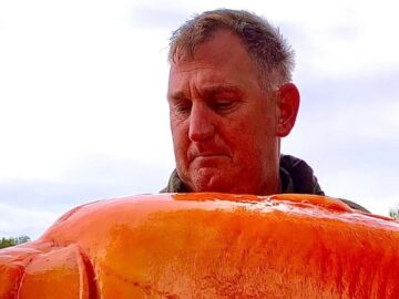 Brit vangt grootste goudvis ter wereld: ''Wat een beest!''