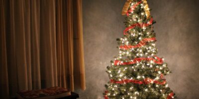 Berekening: Dit kost het energieverbruik van je kerstboom