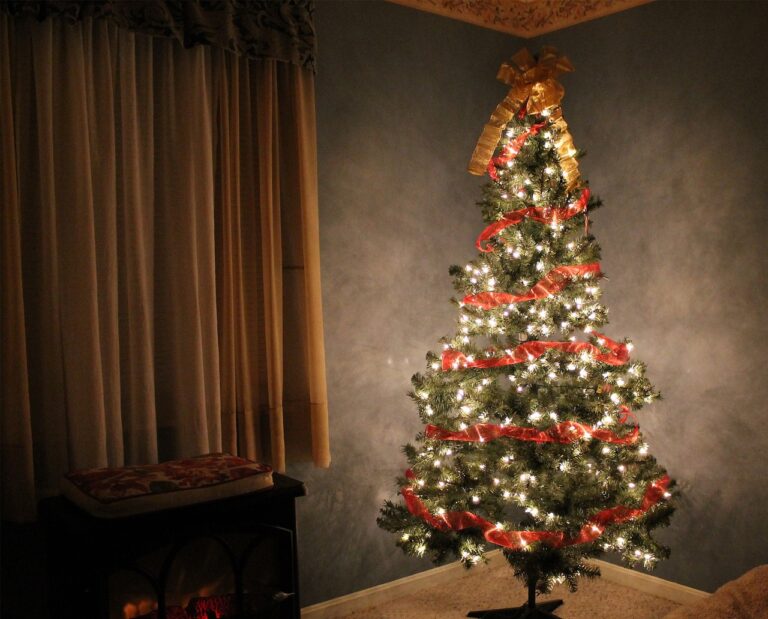 Berekening: Dit kost het energieverbruik van je kerstboom