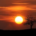 Wetenschappers voorspellen: Dit is hoe en wanneer de zon verdwijnt