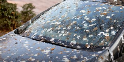 Met deze truc haal je vogelpoep en resten van insecten van je auto zonder schade