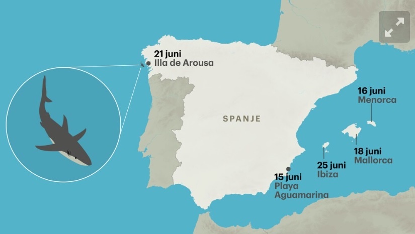 Vijf haaien duiken op bij Spaanse stranden: mensen rennen het water uit