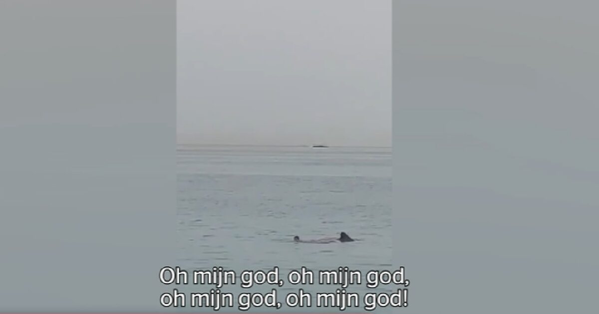 Zwemmer gepakt door enorme haai in Spanje, man filmt alles