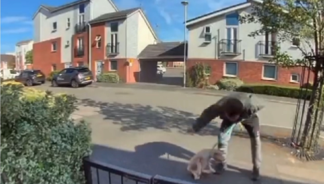 Man slaat puppy in elkaar op straat, camera legt alles vast