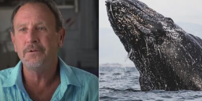 Michael (57) werd doorgeslikt door een walvis: ''Ik ben ontsnapt''
