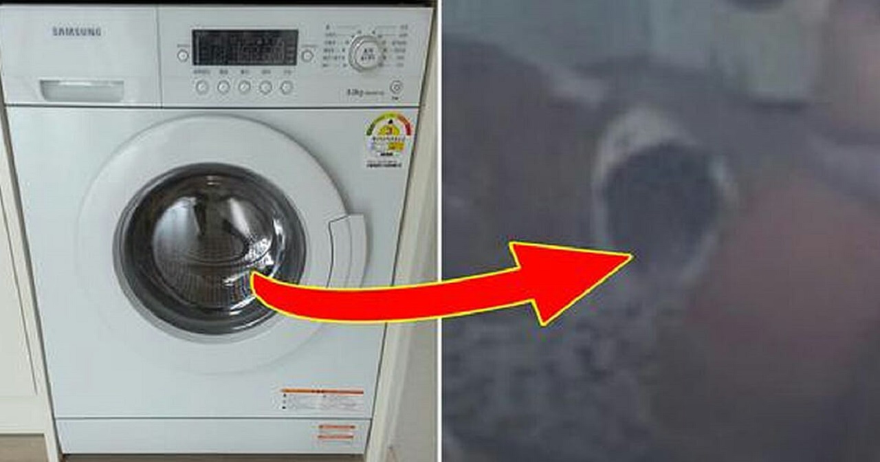 Louise plaatst advertentie voor wasmachine, maar is één onthullend detail vergeten
