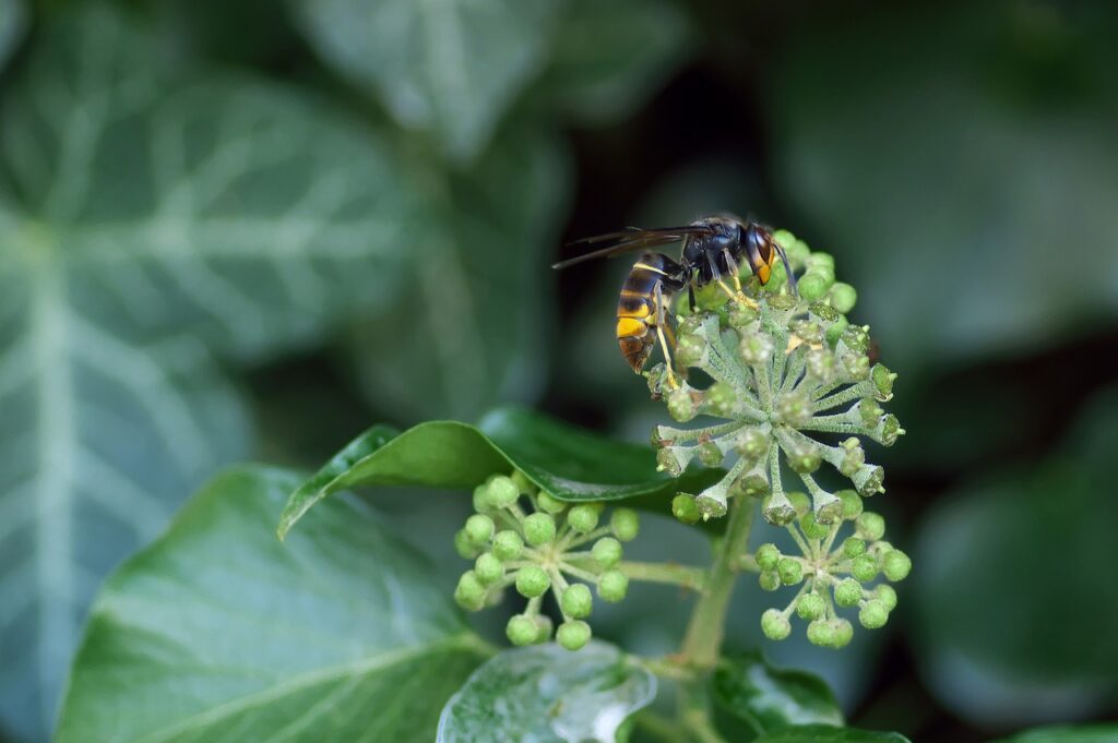 Enorme insectenplaag op komst: ''We moeten ons enorme zorgen maken''