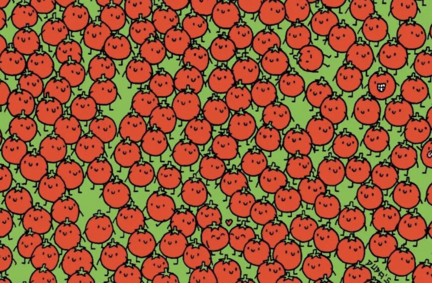 Je mag twèè keer raden: hoeveel appels zitten er tussen de tomaten?