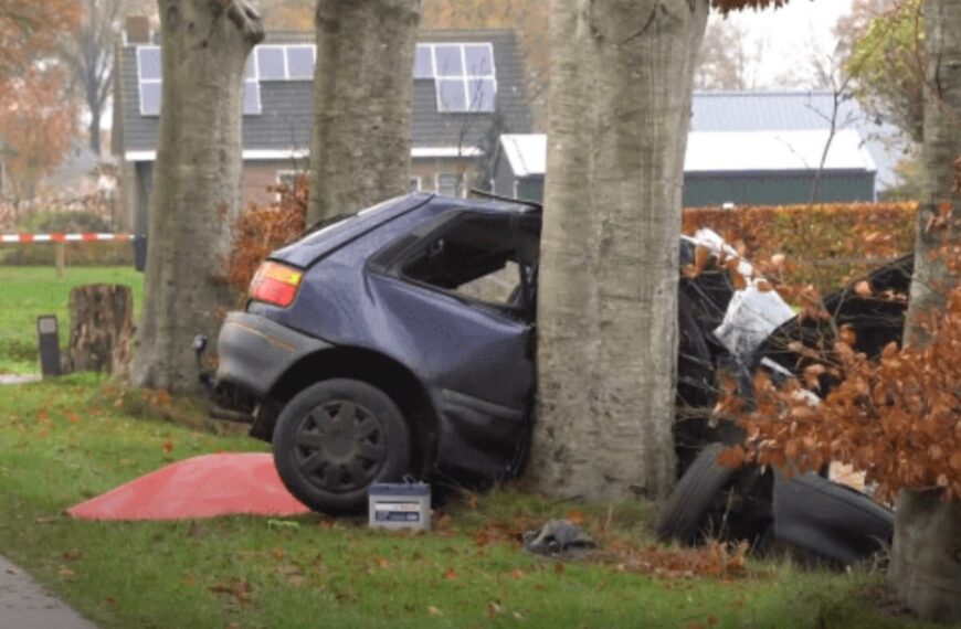 Automobilist ramt boom frontaal: “Hij had geen schijn van kans”