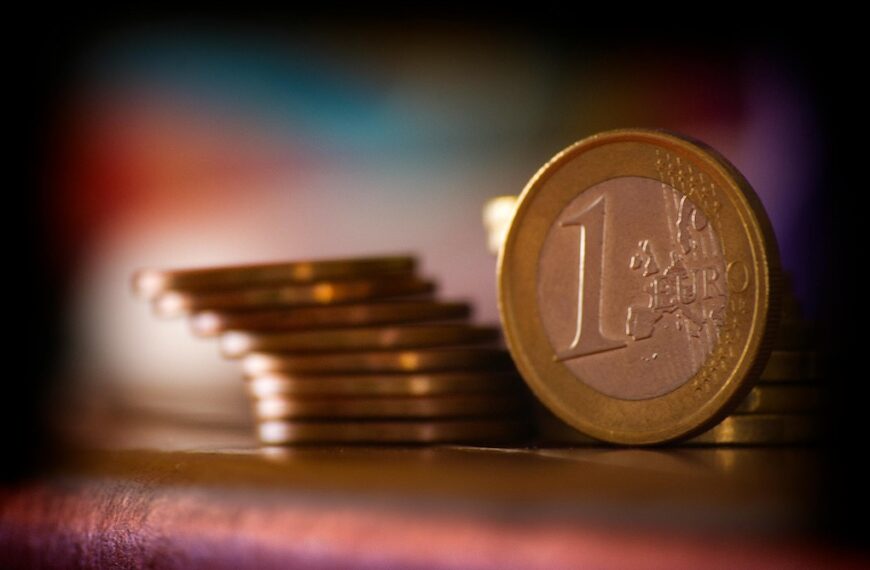 zeldzame-1-euromunten